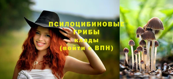 героин Алзамай