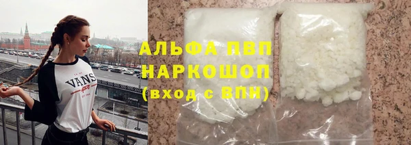 хмурый Алексин