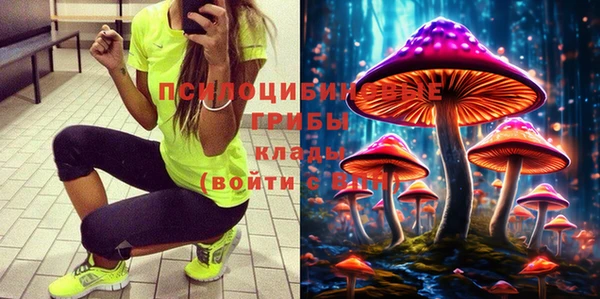 шишки Ростов