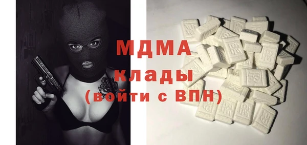 хмурый Алексин