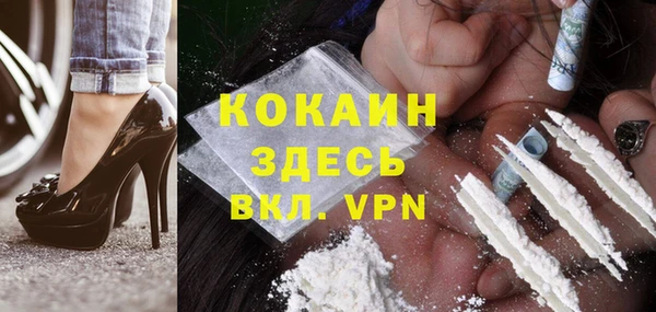 хмурый Алексин