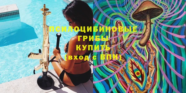хмурый Алексин