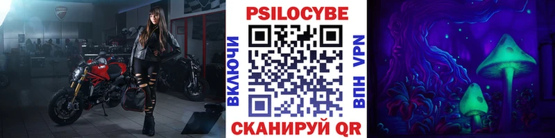 купить   Николаевск  Галлюциногенные грибы прущие грибы 